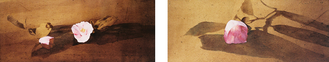 Camélia rose II - 淡紅の椿 II - 30x73.5cm 1998 | Camélia rose III - 淡紅の椿 III - 29x73.5cm 1998 