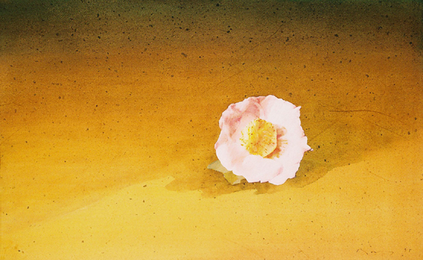 Camélia rose - 淡紅の椿 - 60x95cm 1998 